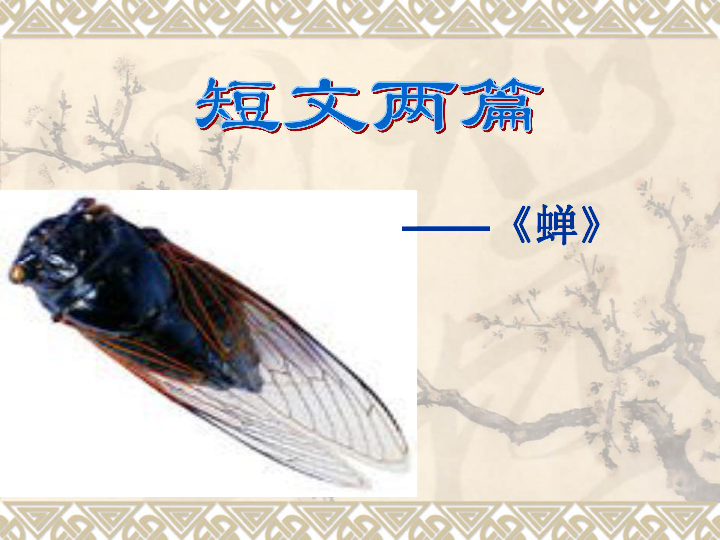 《蝉》(教学设计 教学课件)