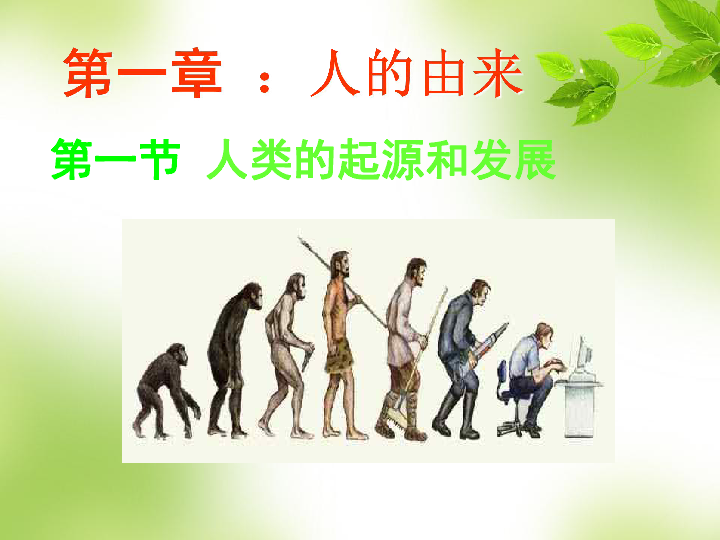 人教版七年级下册生物4-1-1人类的起源和发展课件(共29张ppt)