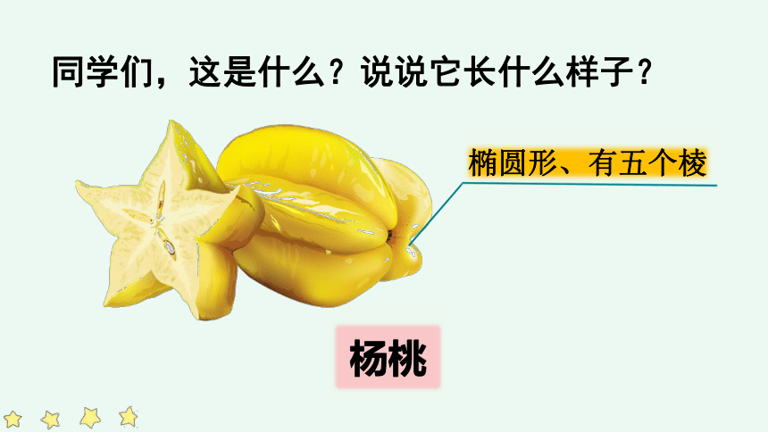 13画杨桃课件51张ppt