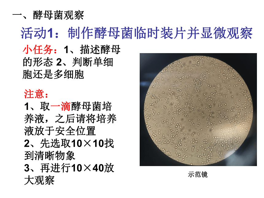 3 微生物一,酵母菌观察活动1:制作酵母菌临时装片并显微观察注意:1,取