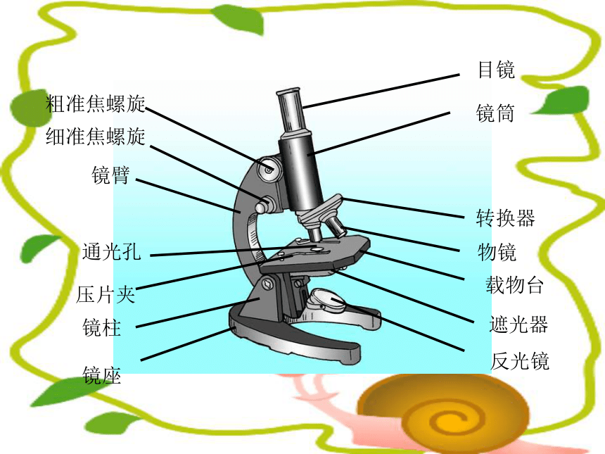 遮光器压片夹反光镜通光孔镜柱镜座物镜二:显微镜的对光显微镜的使用