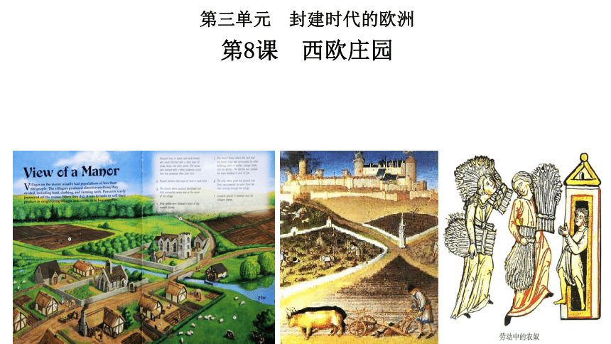 新人教部编版九年级历史上册第三单元第8课西欧庄园课件19张ppt
