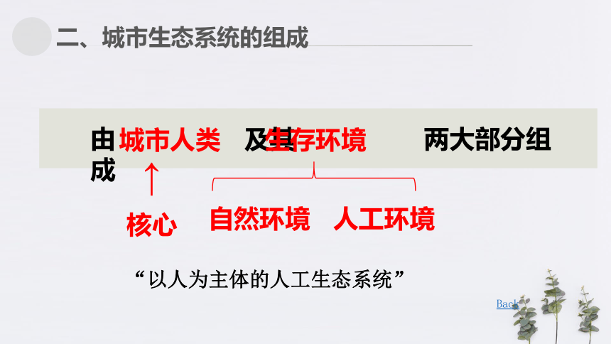 1.1 城市生态系统 课件(33张)