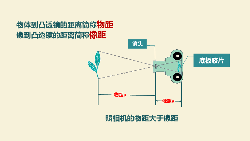初中 物理 人教版 八年级上册 第五章 透镜及其应用 第2节 生活中的