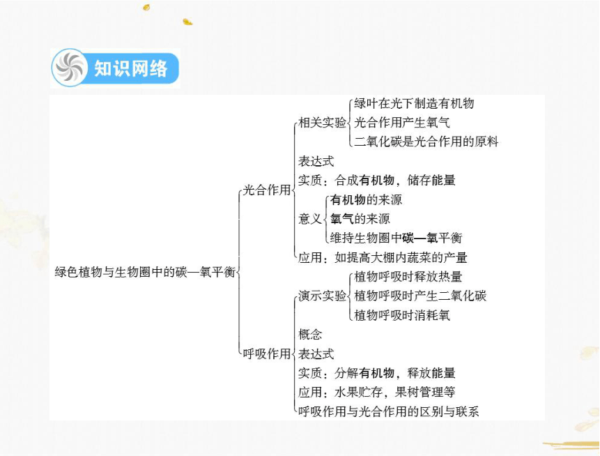 生物 第三单元 第五章 绿色植物与生物圈中的碳—氧平衡 %第六章爱护