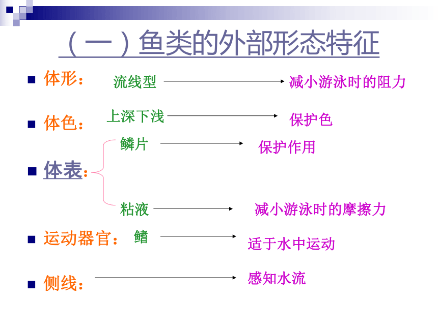 第二册 第4章 生物的类群 第二节 动物        第四章第二节 鱼类八