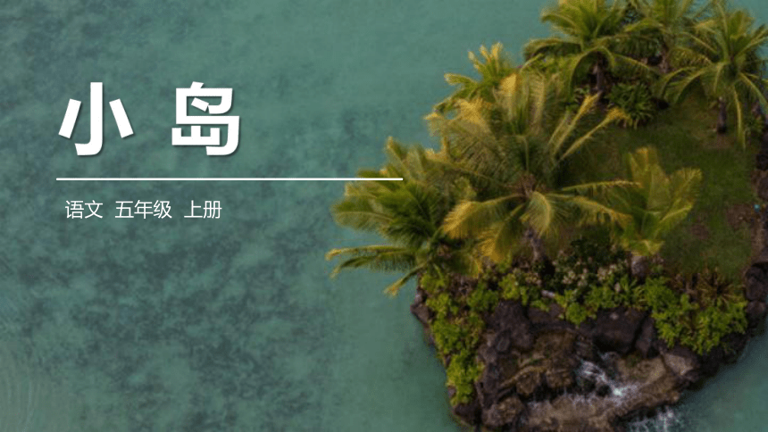 15小岛课件共17张ppt