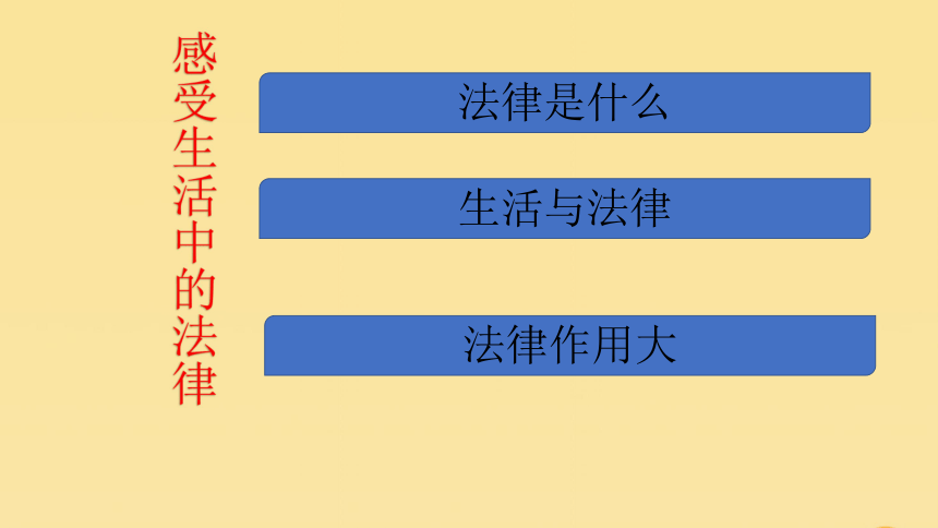 1感受生活中的法律课件20张ppt