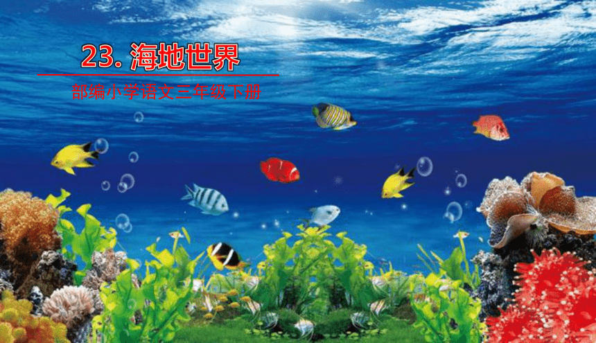 海底世界 课件(45张)