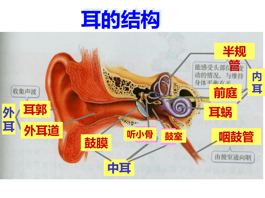 2020--2021学年人教版七年级下册第四单元第六章 第二