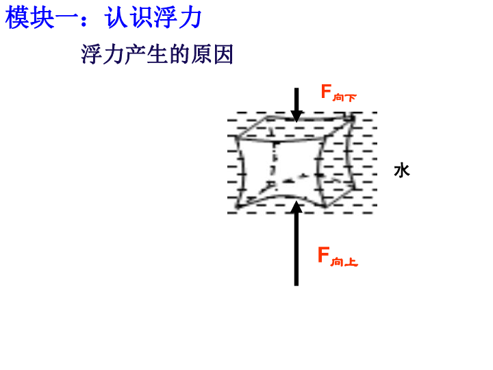 鲁教版五四学制八年级下册物理第八章浮力复习课件共27张ppt