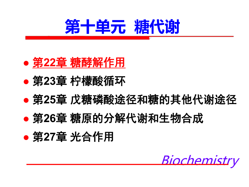 2020-2021学年高中生物竞赛糖酵解作用课件 (64张ppt)
