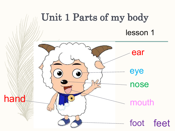 unit 1 parts of my body lesson 1 课件