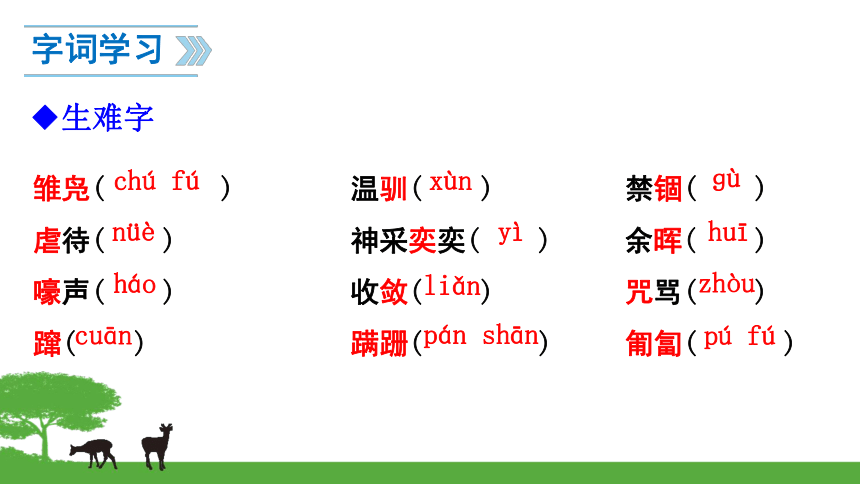 人教部编版七年级语文上册17动物笑谈课件20张ppt