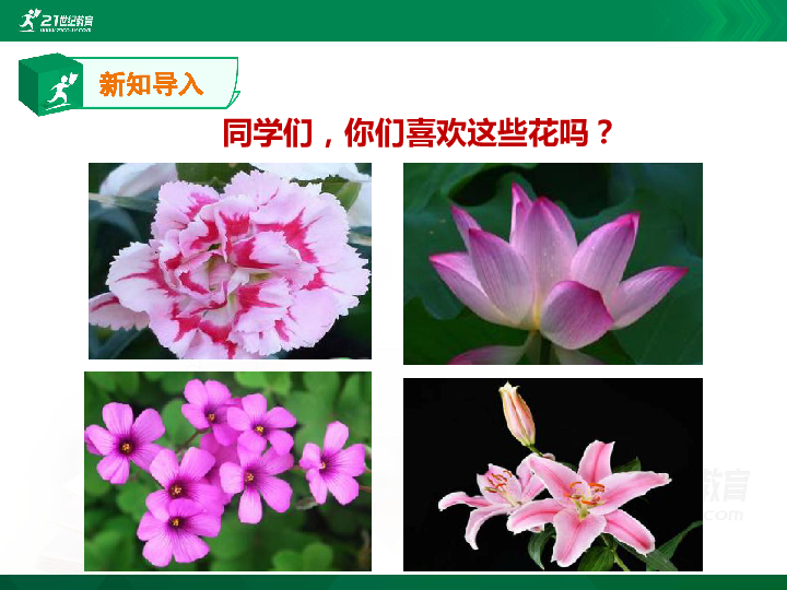 4.《花之歌》 课件