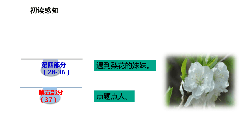 15驿路梨花20212022学年度部编版七年级语文下册课件共31张ppt