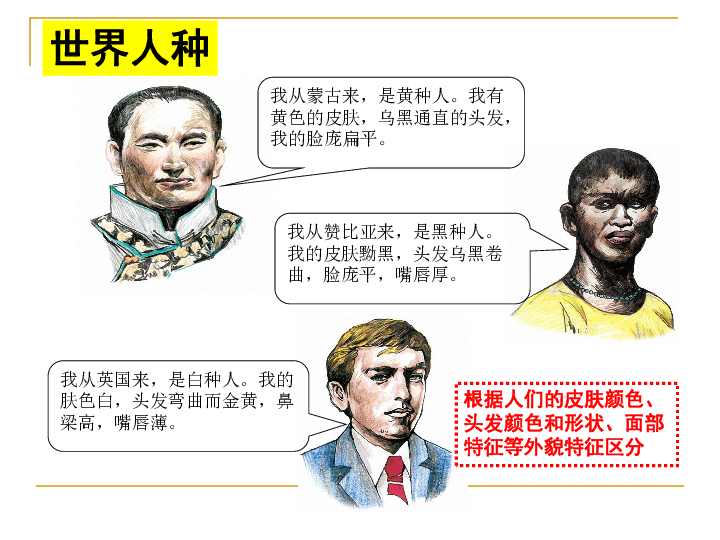 考点5:描述世界人口,人种,语言,宗教的名称及其分布情况 课件(13张ppt