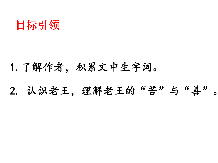 20202021学年部编版语文七年级下册第11课老王课件共41张ppt