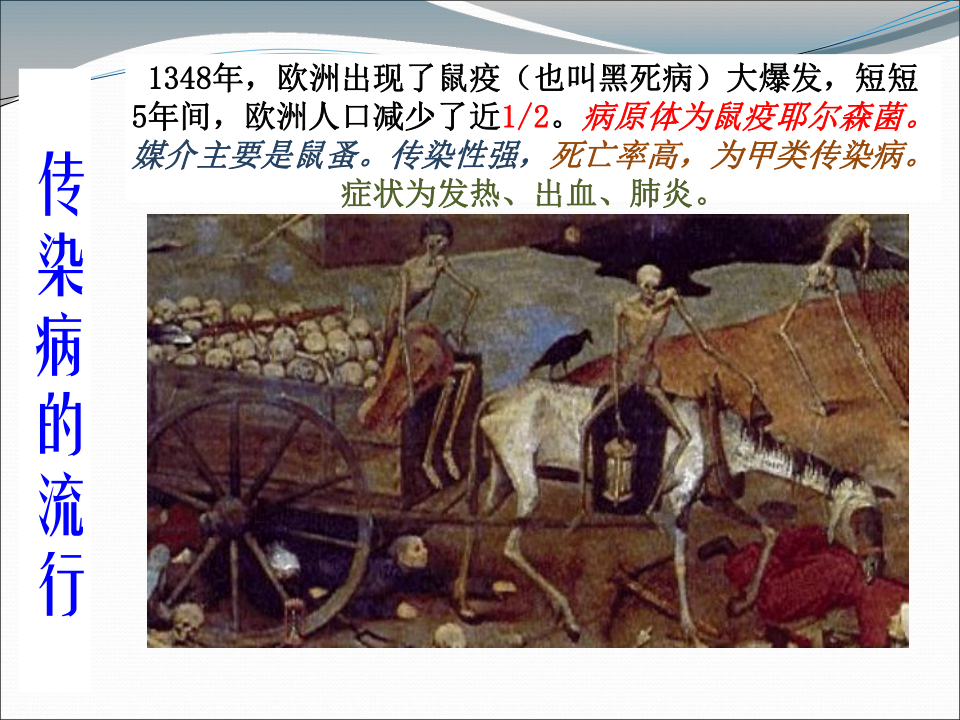 课件 传染病的流行1348年,欧洲出现了鼠疫(也叫黑死病)大爆发