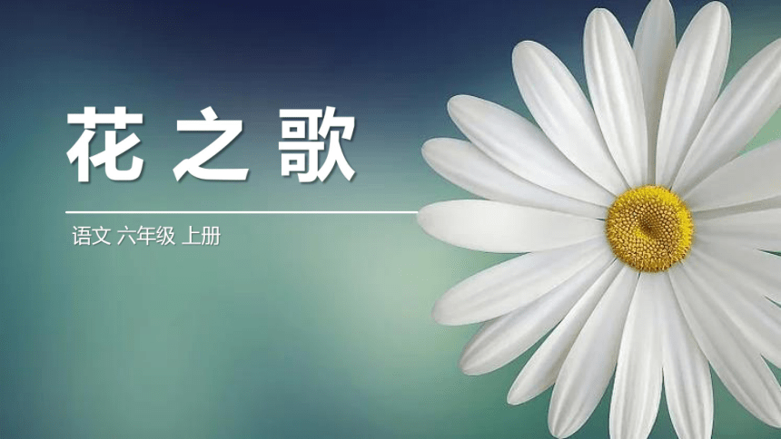 4《花之歌》课件(17张ppt)