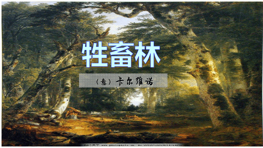 第六单元《牲畜林》课件(26张—2020-2021学年高中语文人教版选修