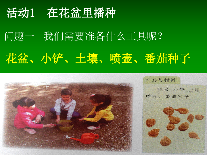 三年级下册(新 第一单元 生物的生长 1 种番茄 课件10张ppt
