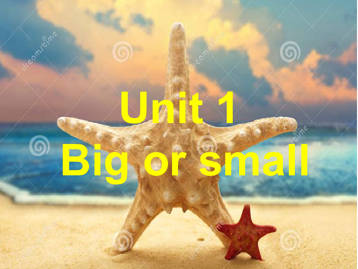 bigsmall,girlsday something unit1bigorsmall课件