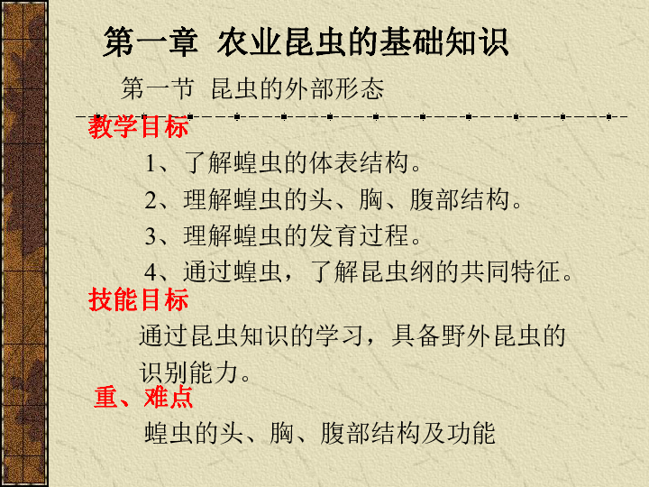蝗虫的结构和功能浙江省温州市瓯海区