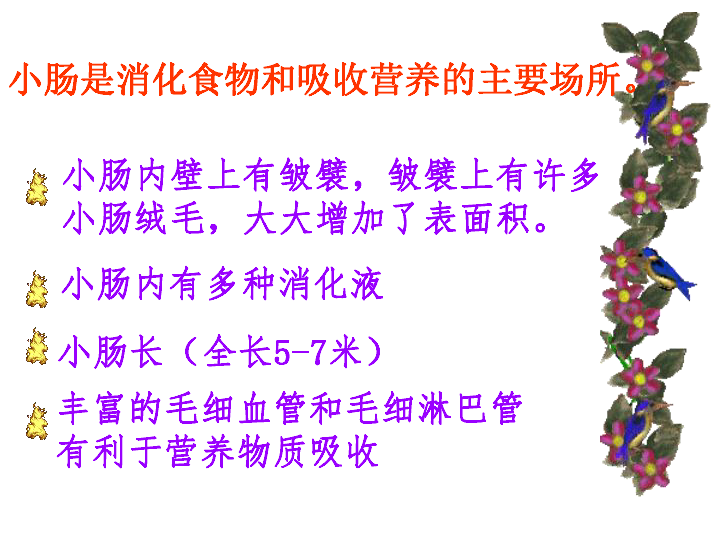 口腔→咽→食道→胃→小肠→大肠→肛门消化食物和吸收营养物质的场所