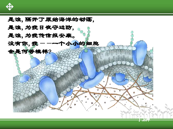 42生物膜的流动镶嵌模型共35张ppt