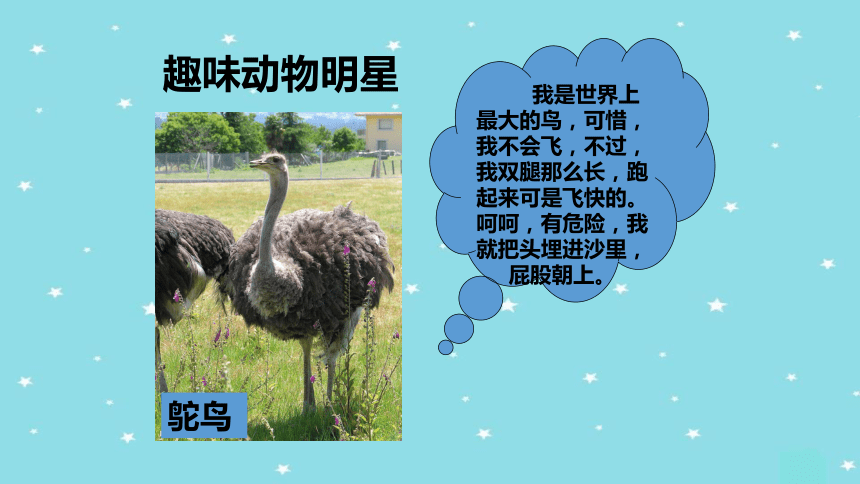 统编版二年级上册口语交际有趣的动物课件14张