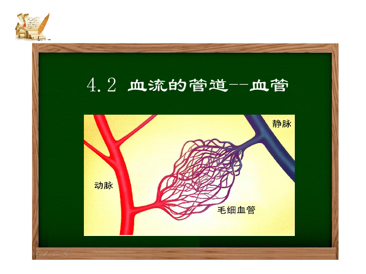 3血管课件31张ppt