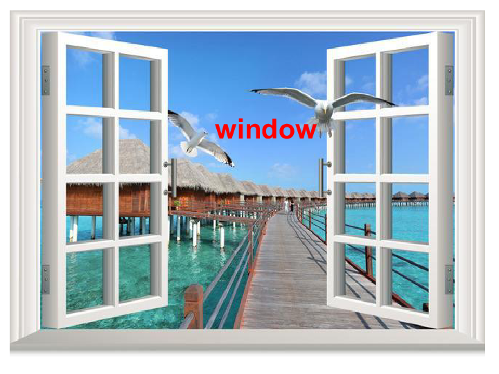 unit 2 point to the window 课件