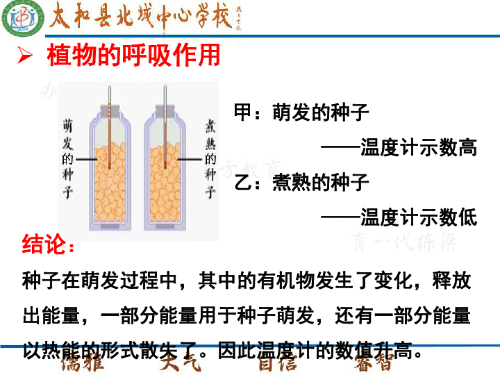 1.4 绿色植物的呼吸作用(19张ppt)