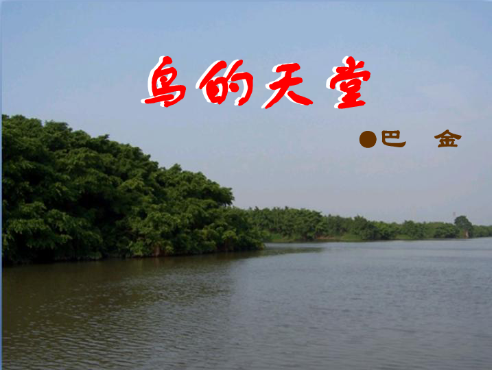 2014年鸟的天堂课件集锦