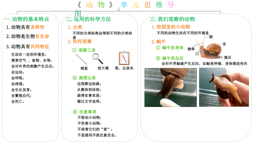 教科版2017秋一年级下册第二单元动物单元思维导图12ppt