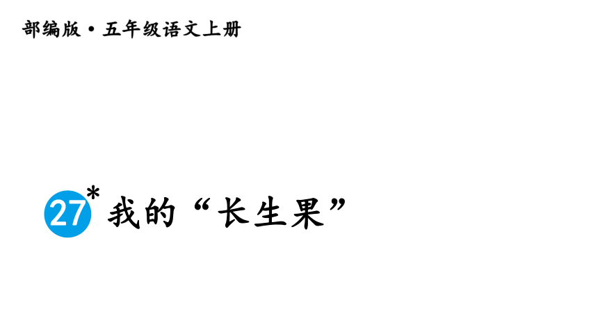 27我的长生果课件43张