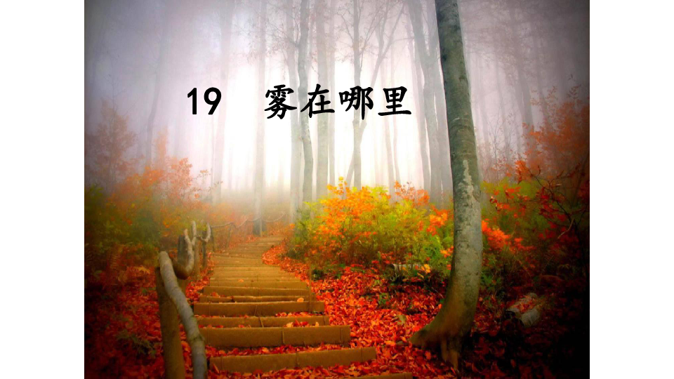 小学语文 人教统编版(部编版) 二年级上册 课文6 19 雾在哪里