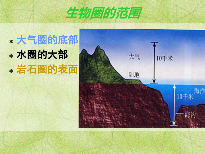 2.3生物圈是最大的生态系统 (共20张ppt)