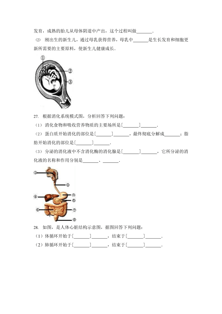 人教版七年级生物下册期末综合检测试卷测试题(有答案)