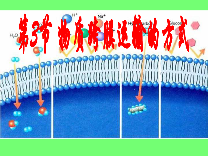 高中生物人教版必修一43物质跨膜运输的方式共16张ppt