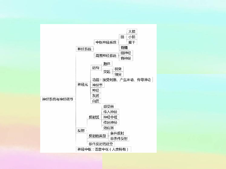 第4单元第12章第1节神经系统与神经调节习题课件53张ppt