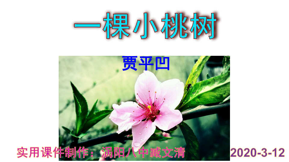 18.《一棵小桃树》优秀ppt课件(共40张ppt)
