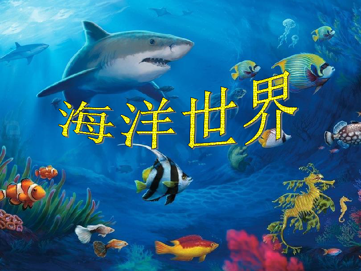 6海洋世界课件17张幻灯片