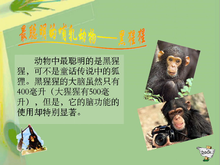 部编版二年级语文口语交际有趣的动物优质课件