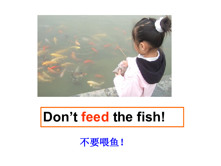 module1unit2dontfeedthefish课件