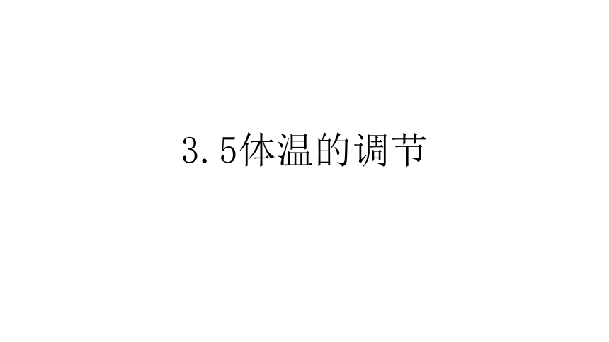 5 体温的控制 课件(共23张ppt)