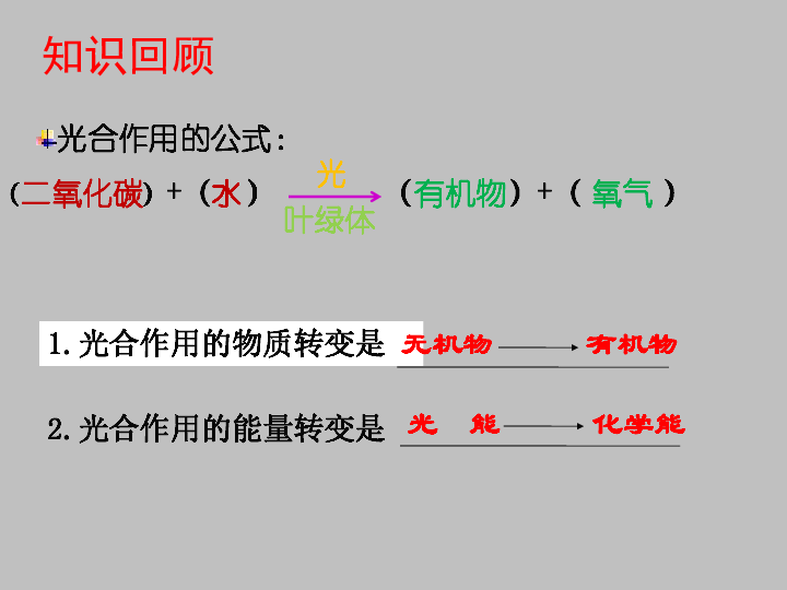 《呼吸作用》光合作用的公式:(         ) (  )       (      )