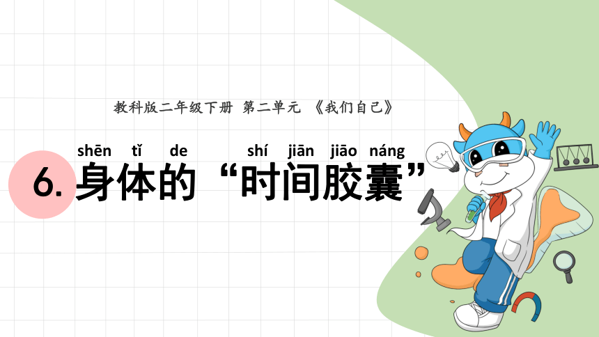 教科版2017秋二年级下册26身体的时间胶囊课件13张ppt