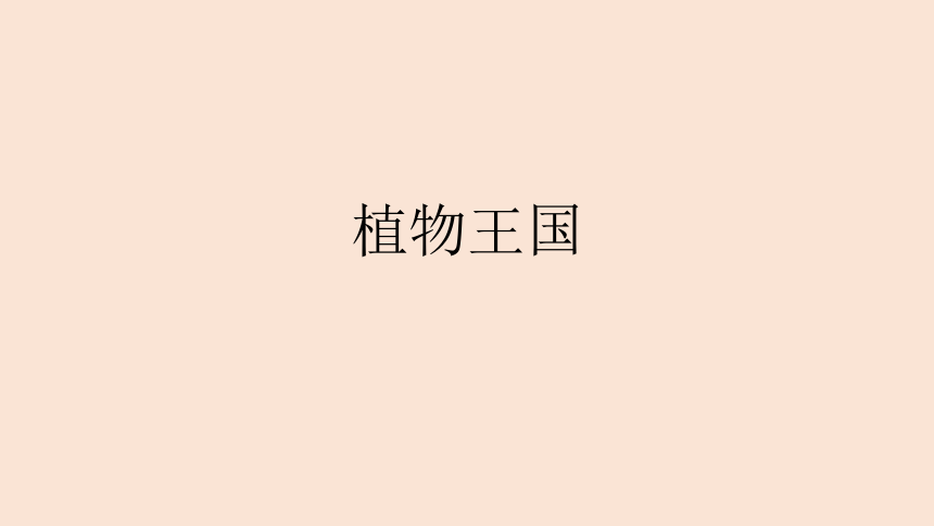 综合实践活动三年级:植物王国(课件共19张ppt 全国通用_21世纪教育网